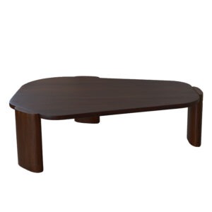 CLARA <span style="color: #ff0000;"><strong><i><u>NEW</u></i></strong></span>